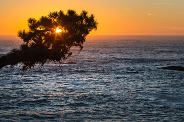 Fototapeta na wymiar View of the Pacific Ocean along the California Coast, Mendocino, United States.