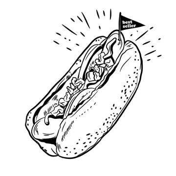 Hot Dog vector illustration design, perfect for cafe poster, tshirt and wall decor design