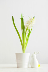 Pot with beautiful hyacinth plant and Easter bunny on light background