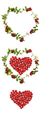 Vertical berry floral ornament, isolated berry hearts on a white background.