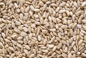 Peeled sunflower seeds full frame background. Close-up. Top view. Close-up shelled sunflower seeds.