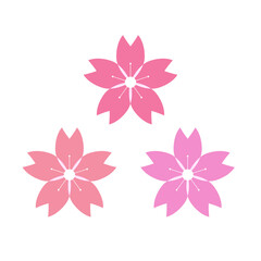 Cherry blossoms in three different colors. Vector.