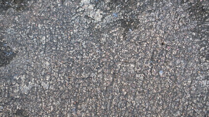 Texture gray plastered wall for background
