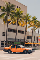 taxi in the city street Miami Beach palms tropical 