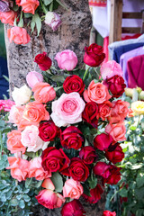 Pink red roses decorative on tree background