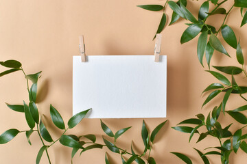 Layout of a white sheet of paper and green leaves on a beige background. Takeaway food delivery. Eco-packaging. Zero waste. Flat layout, top view, place to copy.