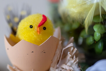 easter chicken and eggs, Chicken, Easter, decoration, egg