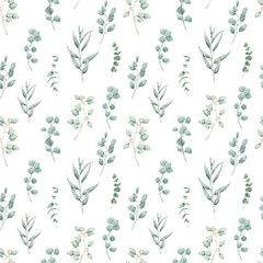 Watercolor cute floral seamless pattern with eucalyptus branches. Spring colorful decor with hand drawn botanical illustrations leaves on white background