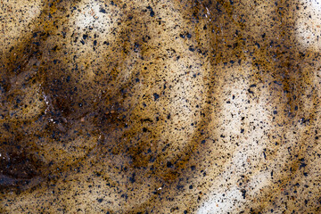 Smear scrub peeling for body, face, head. Cosmetic anti-cellulite. Sample scrub spa treatments close-up.