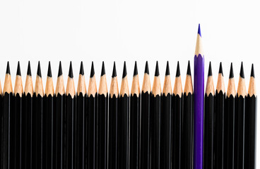 Purple pencil standing out from the crowd