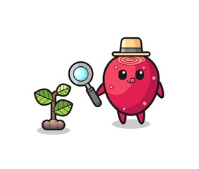 Fototapeta premium cute prickly pear herbalist researching a plants