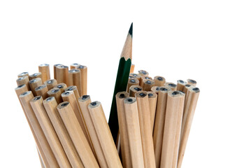 One black pencil standing out from the brown pencils