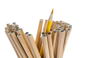 Obraz premium One yellow pencil standing out from the brown pencils