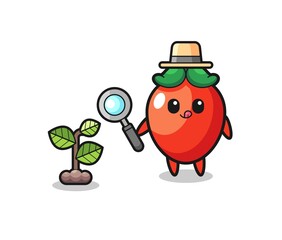 cute chili pepper herbalist researching a plants