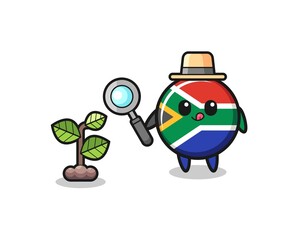 Obraz na płótnie Canvas cute south africa flag herbalist researching a plants