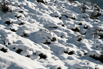 Fototapeta na wymiar snow-covered rocks