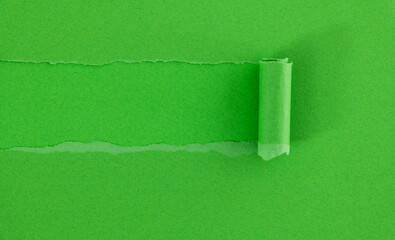 Green torn paper on green background