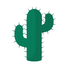 cactus with spine