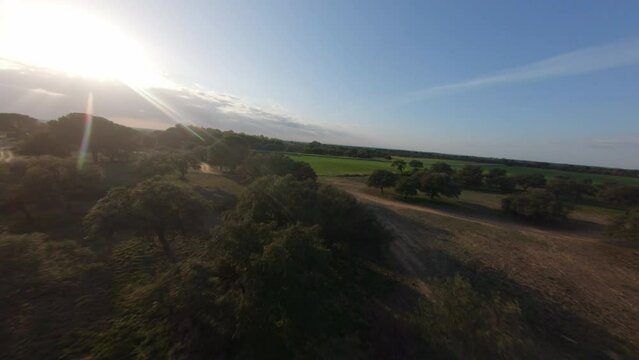 HD FPV Drone Flying Above Beautiful Mediterranean Countryside Trees During Golden Hour Sunset.