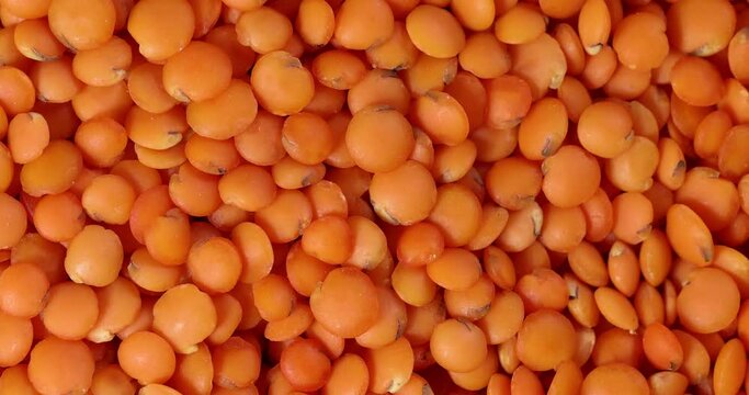 Macro closeup rotating red lentil dal