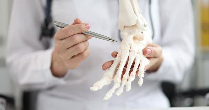 Doctor surgeon traumatologist shows the skeleton of human foot