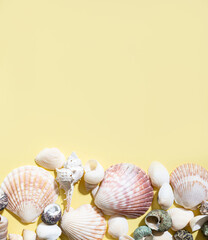 Seashells on a bright yellow background. The concept of summer holidays. Top view and copy space