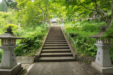 Obraz premium 袈裟山千光寺 参道階段