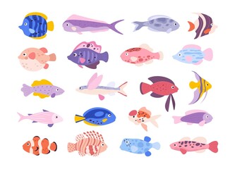 Cartoon cute tropical ocean exotic aquarium fishes. Goldfishes, tetra, barb, angelfish and lionfish. Small freshwater fish pets vector set