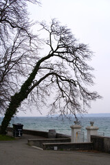 Fototapeta na wymiar Scenic view from border of Lake Geneva with wooden bench on a gray and cloudy spring day. Photo taken March 18th, 2022, Geneva, Switzerland.