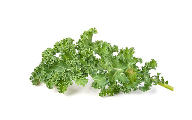 Fototapeta premium kale leaves on white background full depth of field