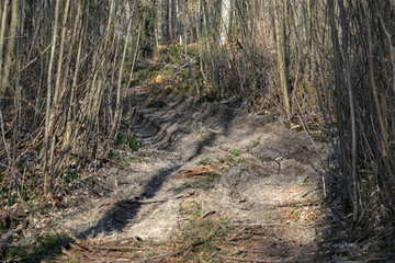 A tree wood harvester leaves total destruction and damage on a forest path after harvesting trees. 