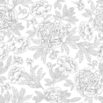 Hand drawn ink peonies. Seamless pattern of contour flowers. © mrs.kato