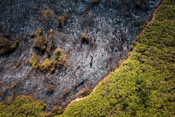 After wildfire, man walking acroos the ash field, Sai Kung, Hong Kong, Asia