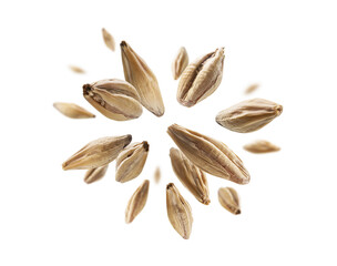 Barley malt grains levitate on a white background - obrazy, fototapety, plakaty