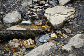 Natural landscape of mountain stream through pebble stones among green forest park