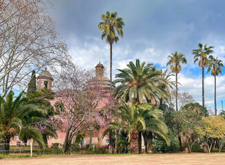 Fototapeta na wymiar Beautiful mixed park with Jacaranda Tree with purple flower blooms during spring and tall palms in Barcelona, Spain