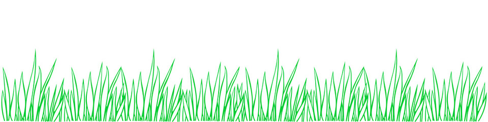 Fototapeta premium Vector green outline of grass isolated on white background. Herbal Border, horizontal bottom edging, lawn panoramic landscape. Template, design element, illustration