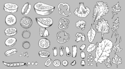 Vegetables food slices carrots,  cucumbers, cabbage, tomato, broccoli, etc. Hand drawn sketch vector illustrations in black isolated. For vegan restaurant menu. Thanksgiving recipe.