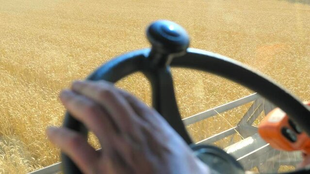 Male hands farmer driver on steering wheel combine harvest on agricultural field.