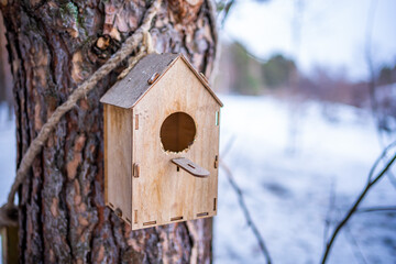 Wooden birdhouse on pine tree in the winter forest in Siberia, Russia