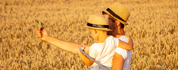 farmer and his son walking fields of wheat
