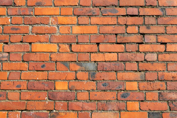 Fototapeta premium Red brick wall