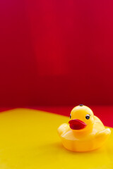 Yellow rubber duck with big red lips on a yellow-red background with space for text. Yellow toy duck. Artificial big lips. Botox lips. Duck lips. Copy space. High quality photo