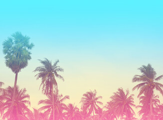 Summer  colorful theme  with palm trees background as texture frame image background