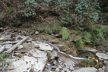 Natural landscape of mountain stream through pebble stones among green forest park