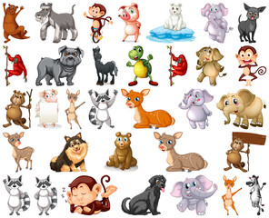 Fototapeta premium Set of animal cartoon character