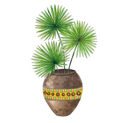 Illustration with an ornamental plant in a pot.