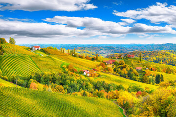 Splendid vineyards landscape in South Styria near Gamlitz.