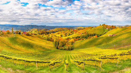 Fototapeta premium Breathtaking vineyards landscape in South Styria near Gamlitz.