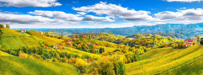 Stunning vineyards landscape in South Styria near Gamlitz. - obrazy, fototapety, plakaty